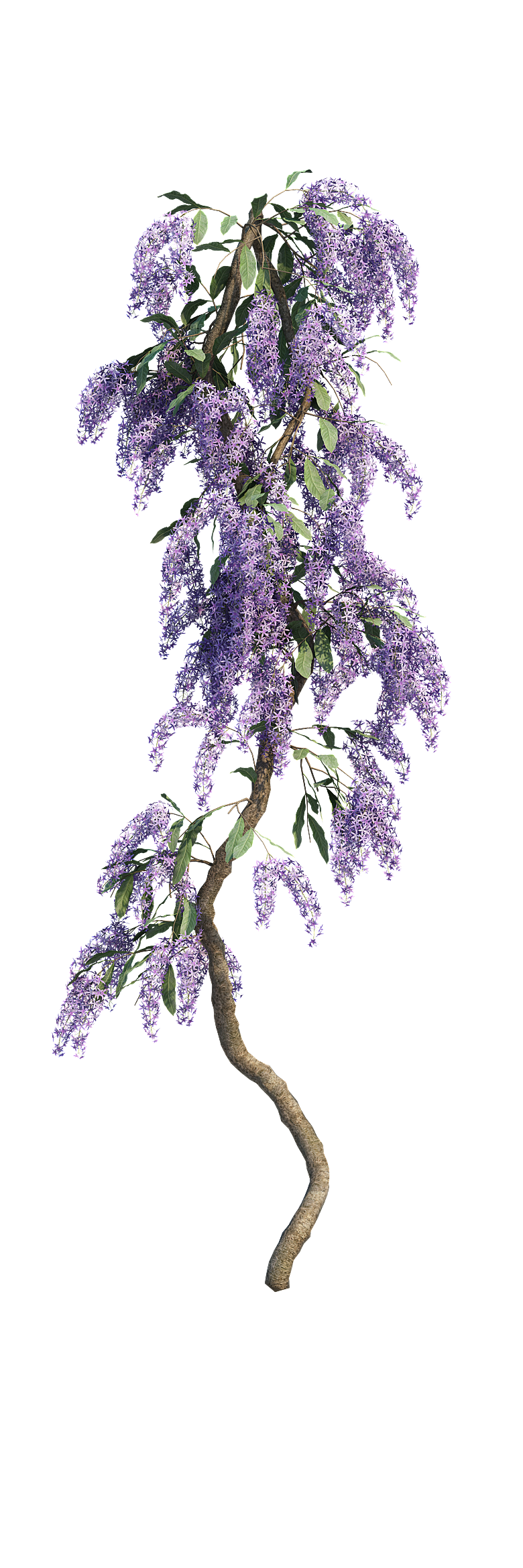 PS高清景观花卉花镜花坛花草植物搭配素材