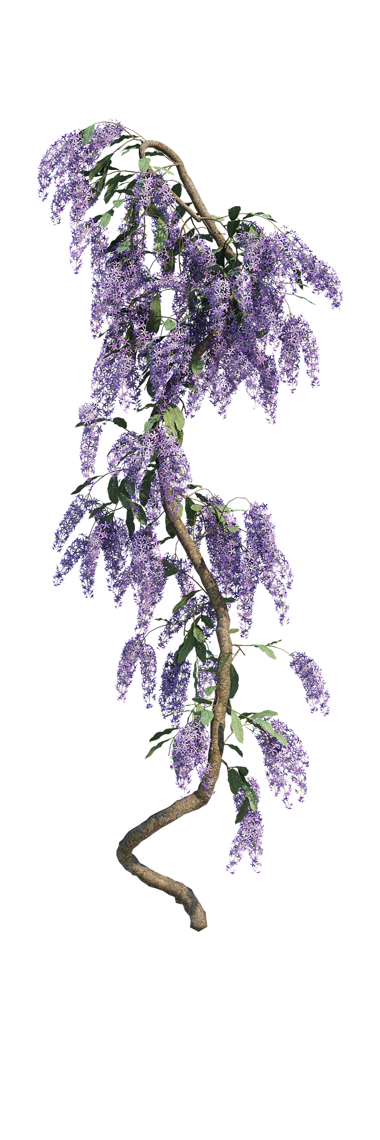 PS高清景观花卉花镜花坛花草植物搭配