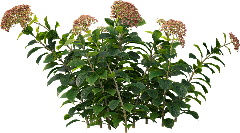 PS高清景观花卉花镜花坛花草植物搭配素材
