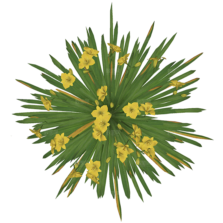 平面植物景观园林乔木灌木花草木顶视图