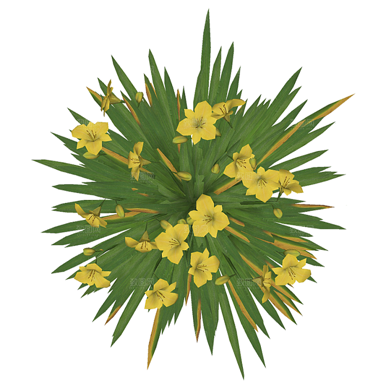 平面植物景观园林乔木灌木花草木顶视图