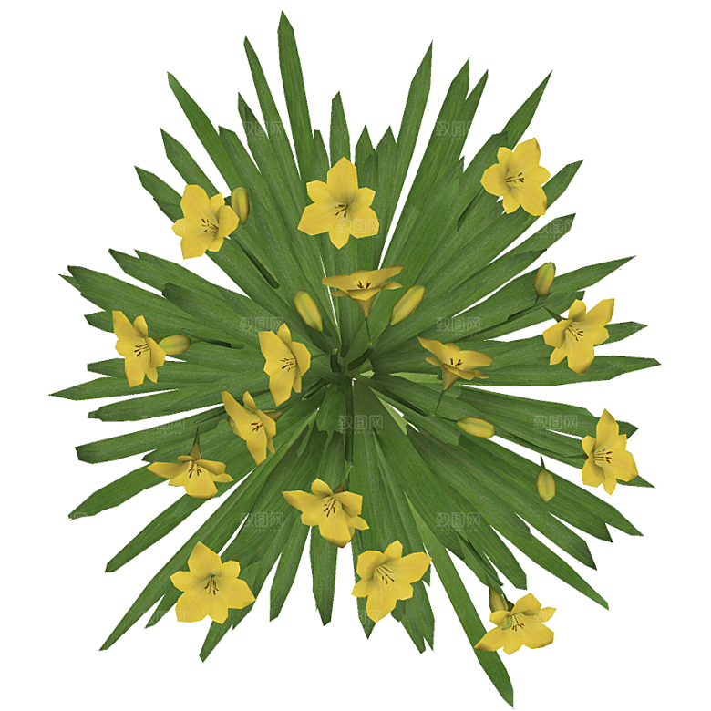 平面植物景观园林乔木灌木花草木顶视图