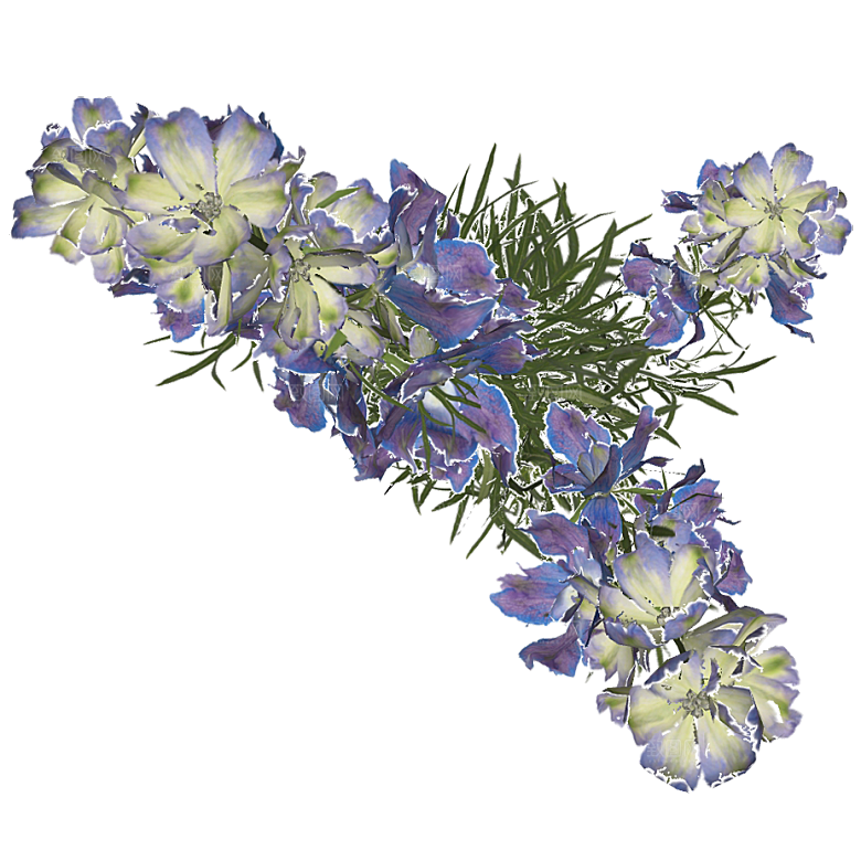 平面植物景观园林乔木灌木花草木顶视图