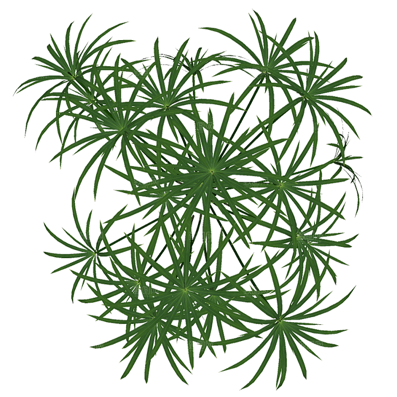 平面植物景观园林乔木灌木花草木顶视图