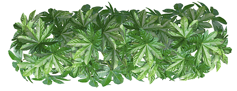 平面植物景观园林乔木灌木花草木顶视图