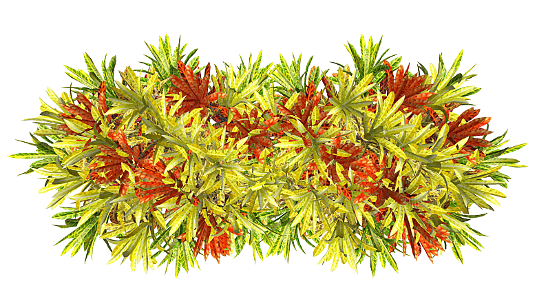 平面植物景观园林乔木灌木花草木顶视图