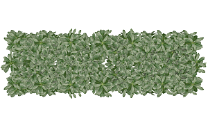 平面植物景观园林乔木灌木花草木顶视图