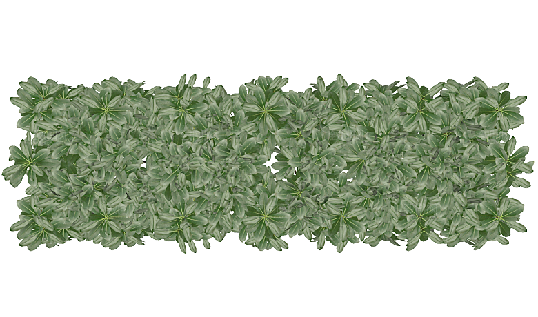 平面植物景观园林乔木灌木花草木顶视图