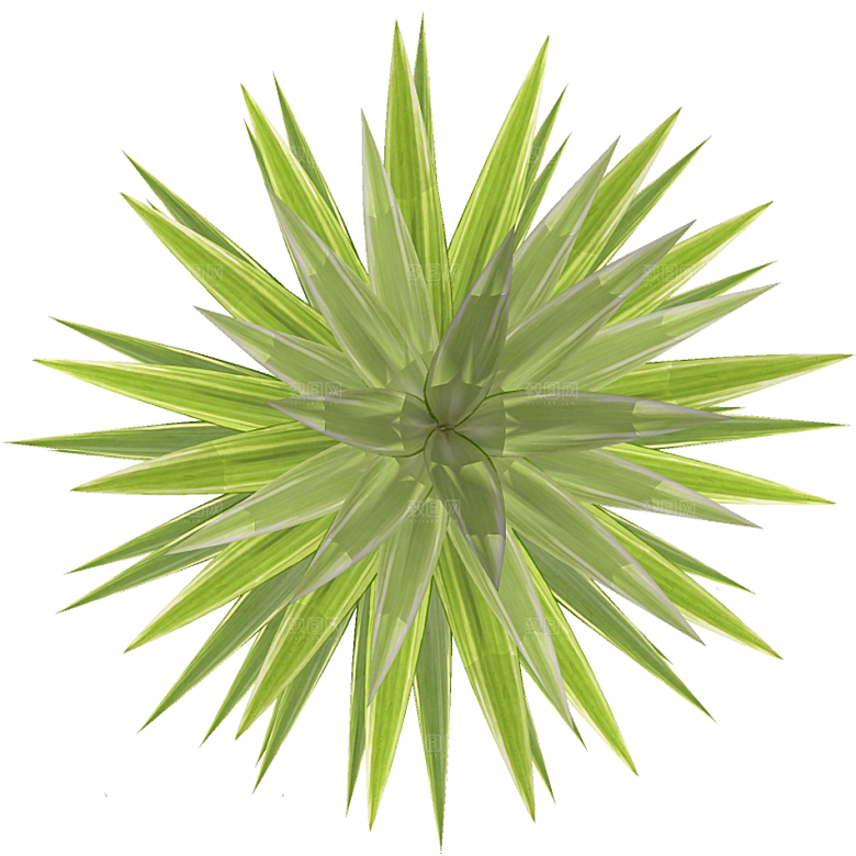 平面植物景观园林乔木灌木花草木顶视图素材