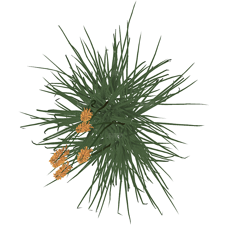 平面植物景观园林乔木灌木花草木顶视图素材