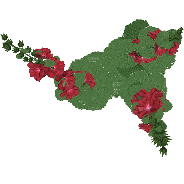 平面植物景观园林乔木灌木花草木顶视图素材