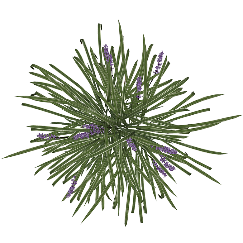 平面植物景观园林乔木灌木花草木顶视图