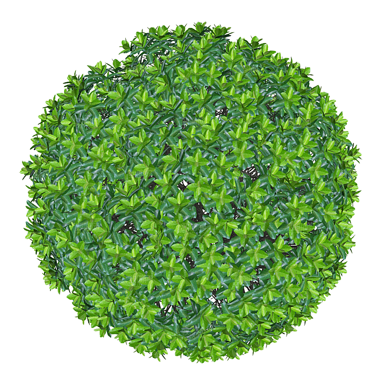 平面植物景观园林乔木灌木花草木顶视图