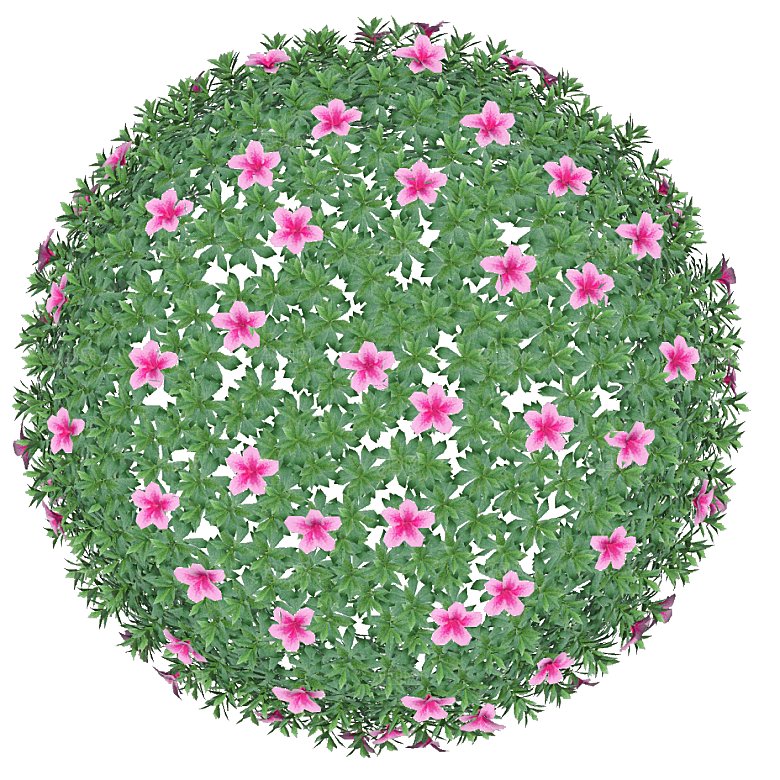 平面植物景观园林乔木灌木花草木顶视图