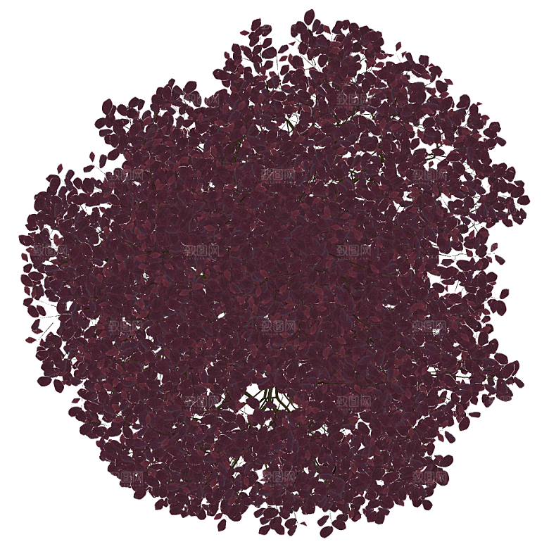 平面植物景观园林乔木灌木花草木顶视图