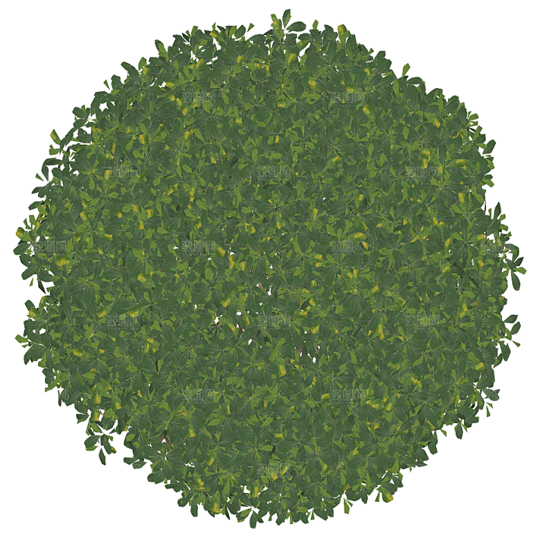 平面植物景观园林乔木灌木花草木顶视图素材