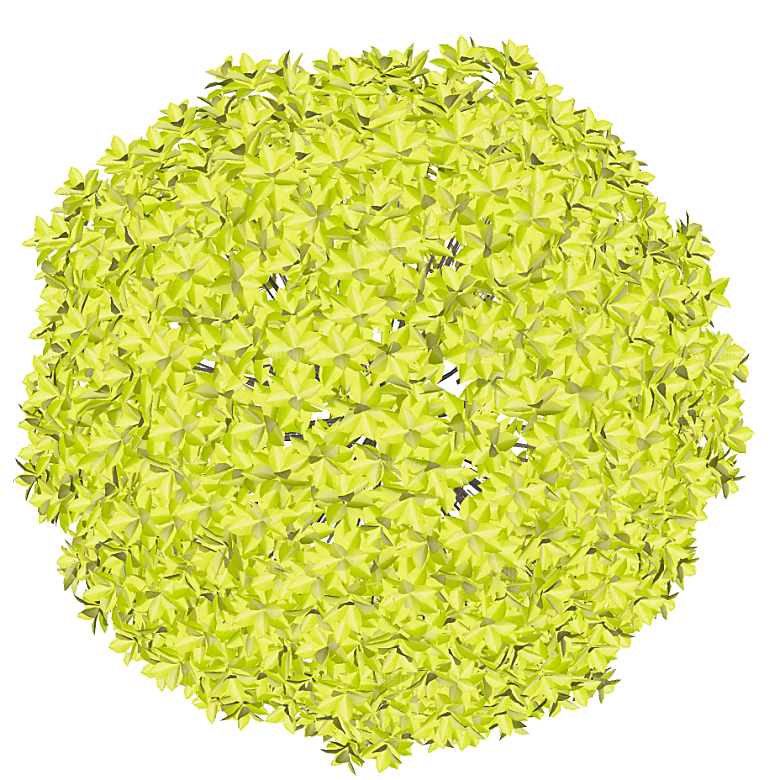 平面植物景观园林乔木灌木花草木顶视图素材