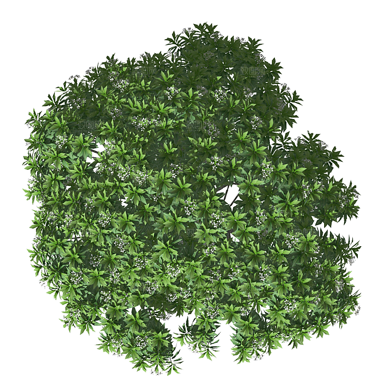 平面植物景观园林乔木灌木花草木顶视图素材