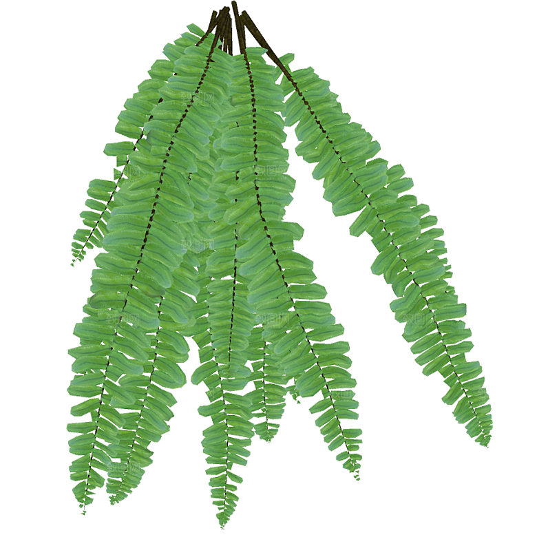 平面植物景观园林乔木灌木花草木顶视图