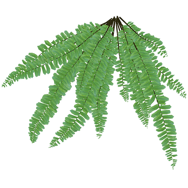 平面植物景观园林乔木灌木花草木顶视图