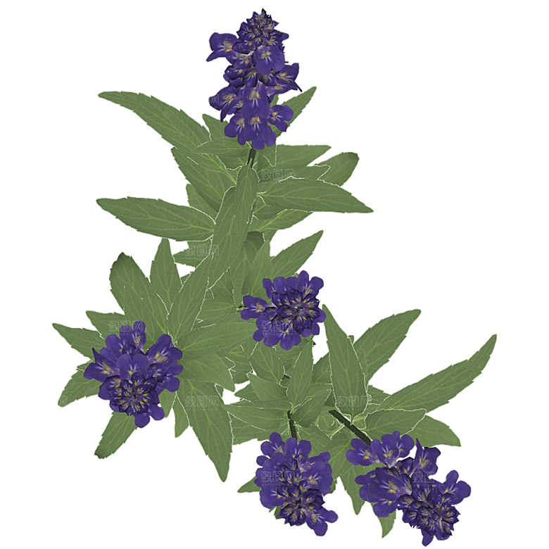 平面植物景观园林乔木灌木花草木顶视图