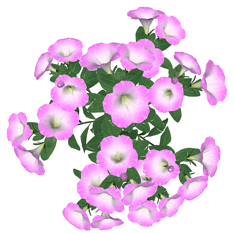平面植物景观园林乔木灌木花草木顶视图