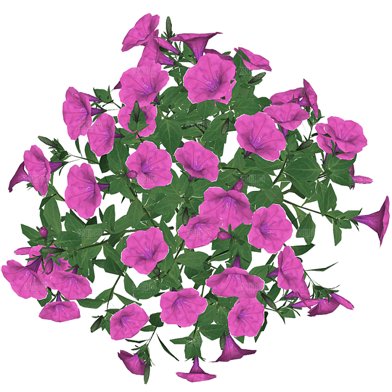 平面植物景观园林乔木灌木花草木顶视图
