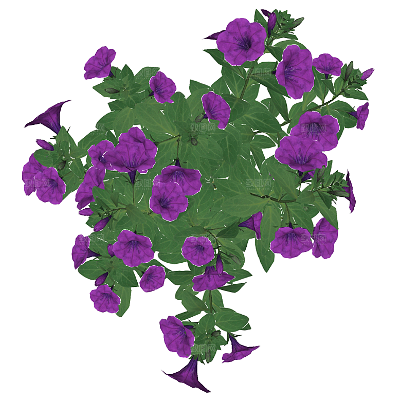 平面植物景观园林乔木灌木花草木顶视图