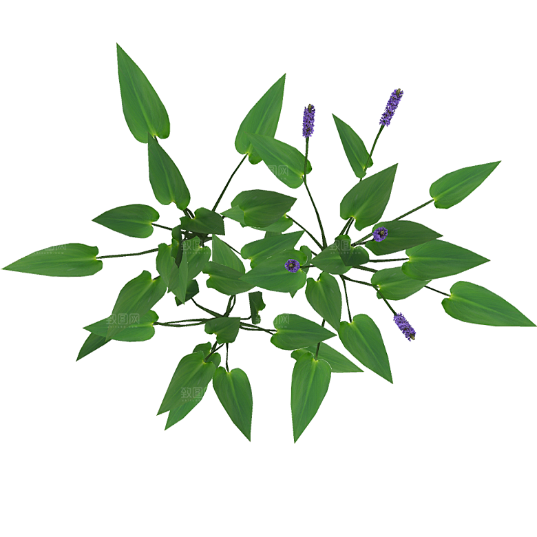 平面植物景观园林乔木灌木花草木顶视图素材