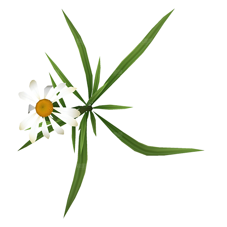 平面植物景观园林乔木灌木花草木顶视图素材