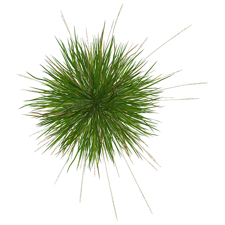 平面植物景观园林乔木灌木花草木顶视图素材