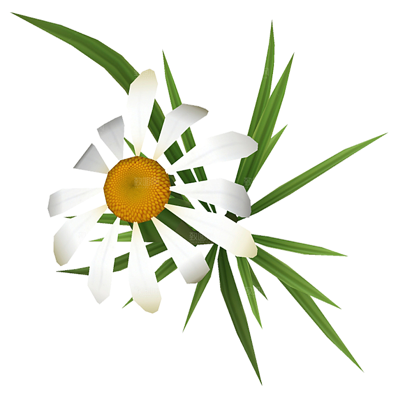 平面植物景观园林乔木灌木花草木顶视图素材