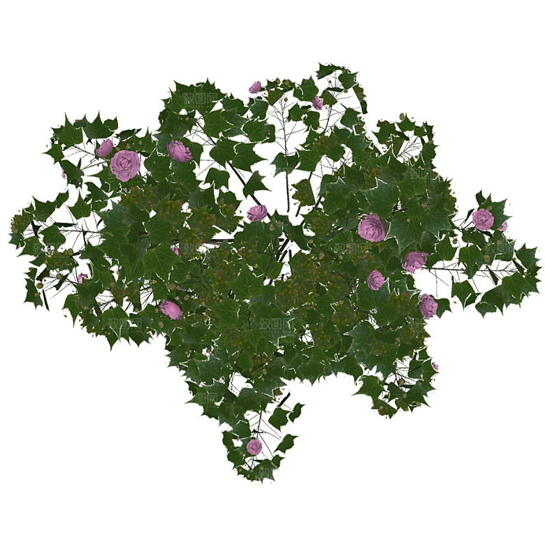 平面植物景观园林乔木灌木花草木顶视图素材