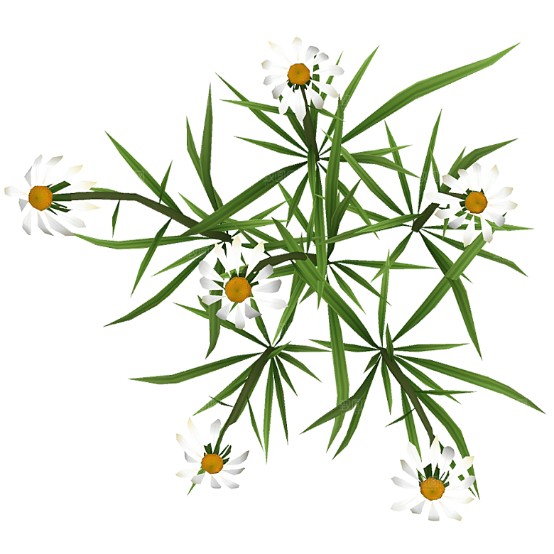 平面植物景观园林乔木灌木花草木顶视图素材