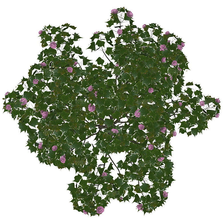 平面植物景观园林乔木灌木花草木顶视图素材