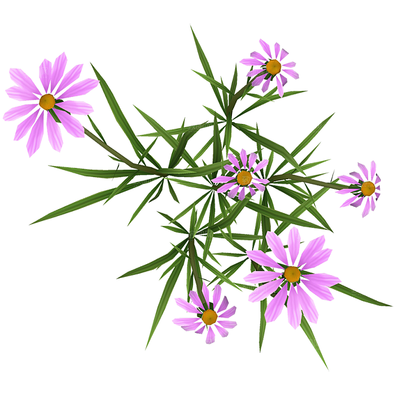 平面植物景观园林乔木灌木花草木顶视图素材
