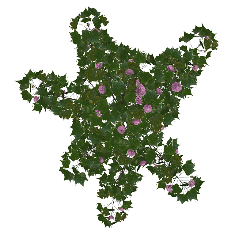 平面植物景观园林乔木灌木花草木顶视图素材