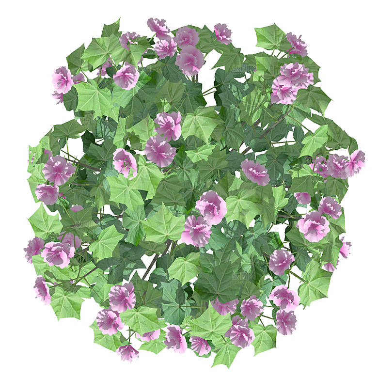 平面植物景观园林乔木灌木花草木顶视图素材