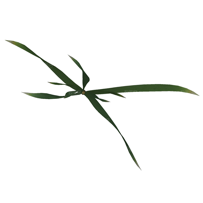 平面植物景观园林乔木灌木花草木顶视图