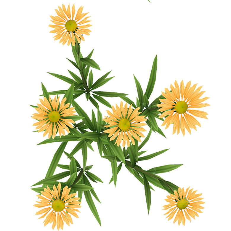 平面植物景观园林乔木灌木花草木顶视图