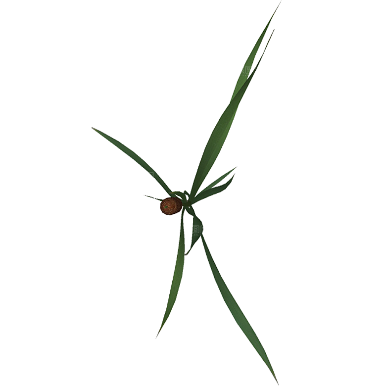 平面植物景观园林乔木灌木花草木顶视图