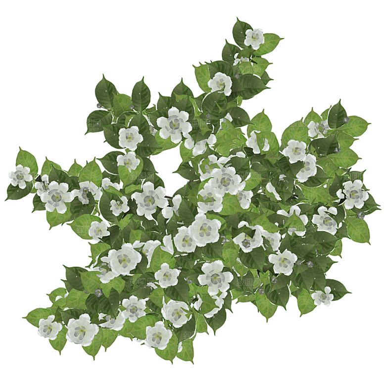 平面植物景观园林乔木灌木花草木顶视图素材