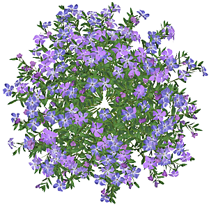 平面植物景观园林乔木灌木花草木顶视图素材