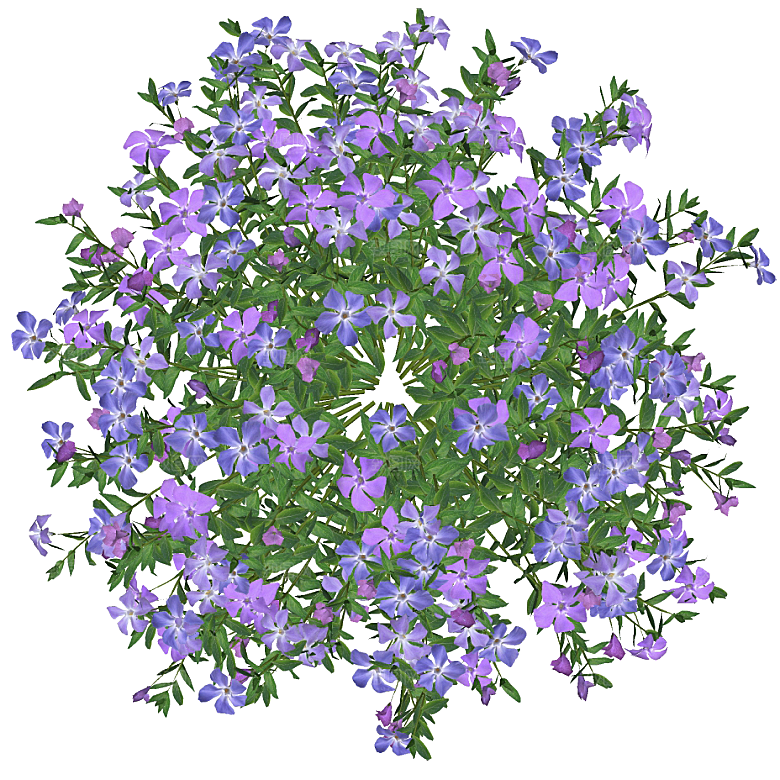 平面植物景观园林乔木灌木花草木顶视图素材