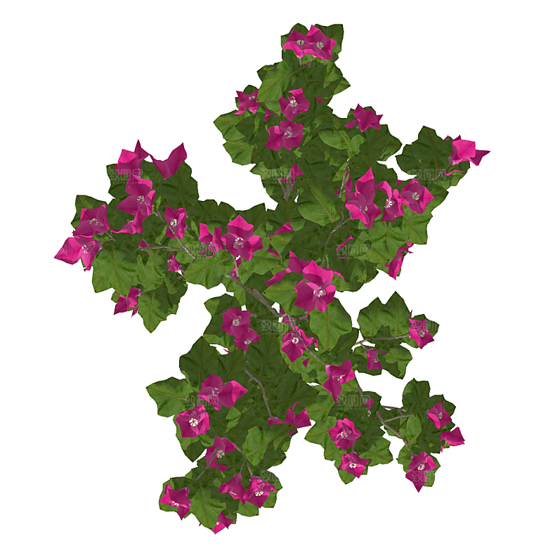 平面植物景观园林乔木灌木花草木顶视图