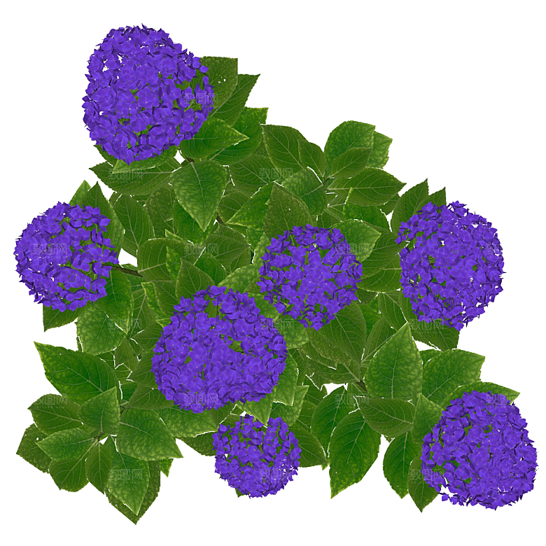 平面植物景观园林乔木灌木花草木顶视图