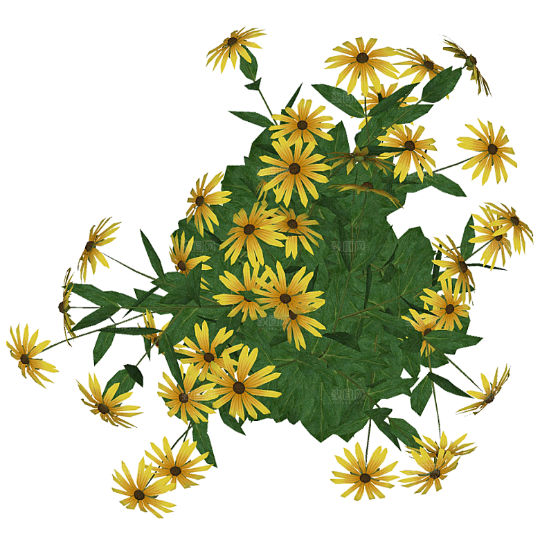 平面植物景观园林乔木灌木花草木顶视图