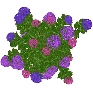 平面植物景观园林乔木灌木花草木顶视图