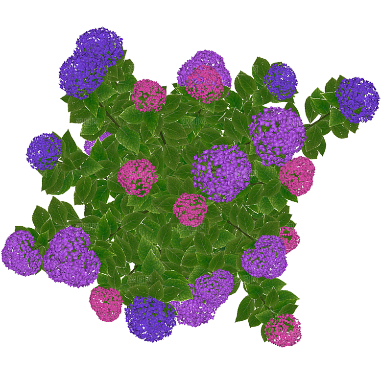 平面植物景观园林乔木灌木花草木顶视图
