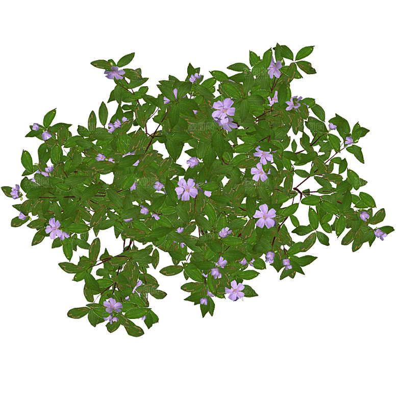 平面植物景观园林乔木灌木花草木顶视图